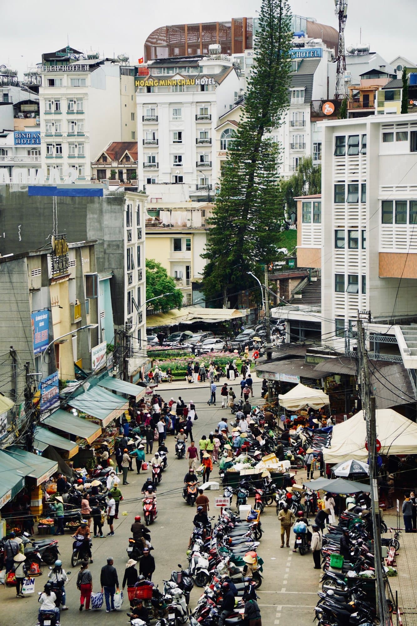 Da Lat city-center street with parked motorbikes, shop awnings, and a pine tree