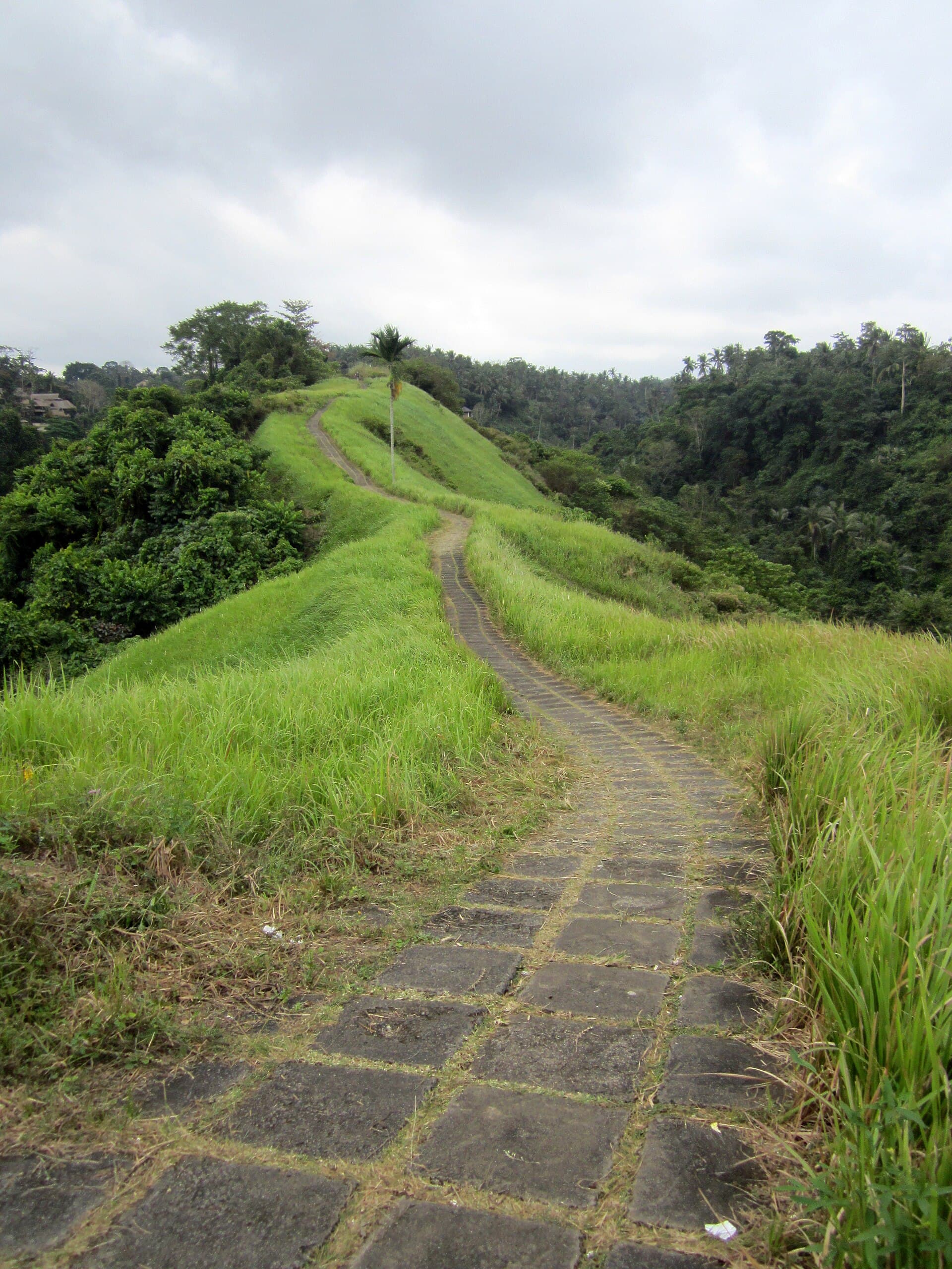 Campuhan Ridge Walk outside Ubud town
